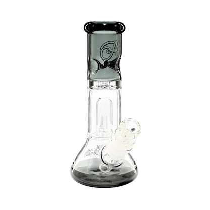 LiL Ripper Transparent Black