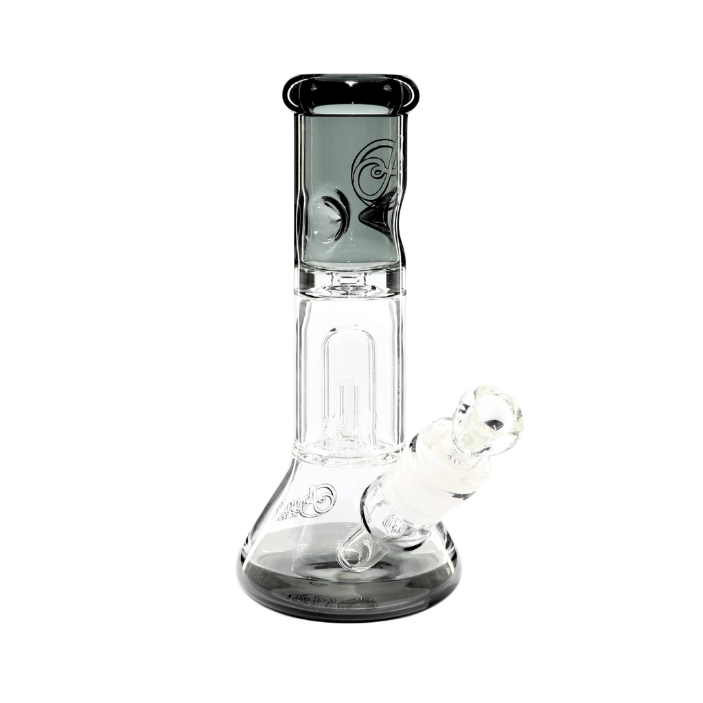 LiL Ripper Transparent Black
