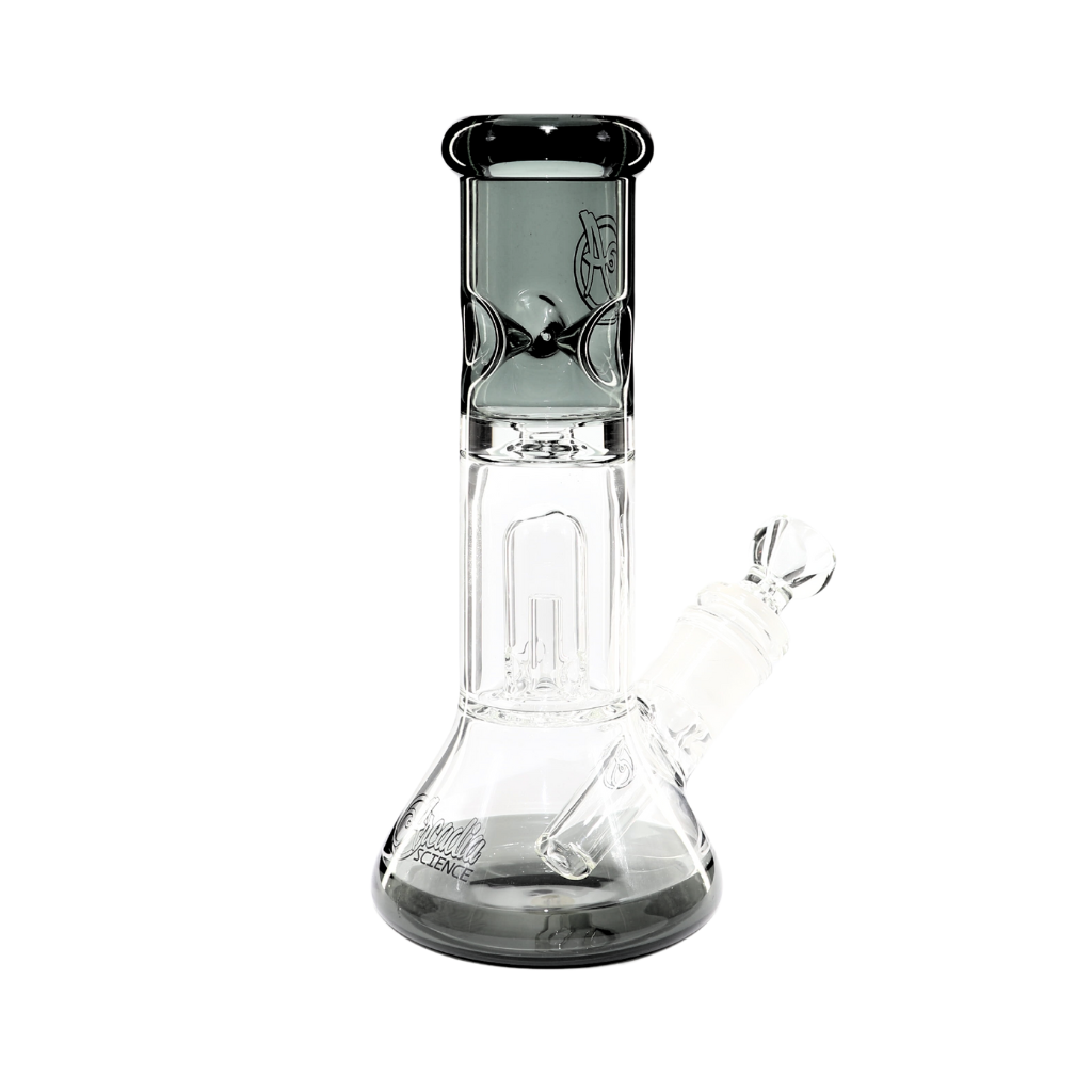 LiL Ripper Transparent Black