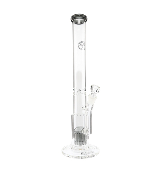 King Perc Transparent Black