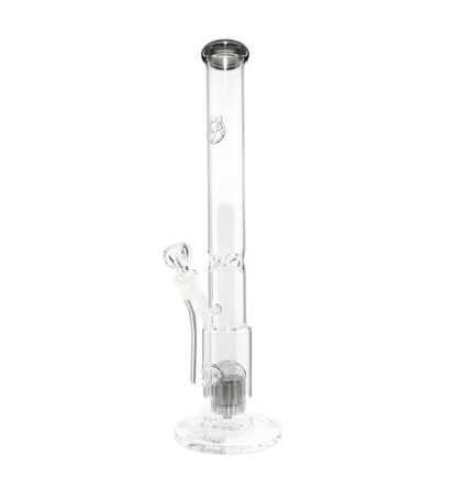 King Perc Transparent Black