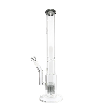 King Perc Transparent Black