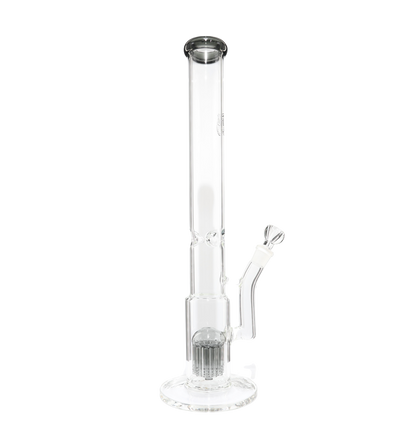 King Perc Transparent Black