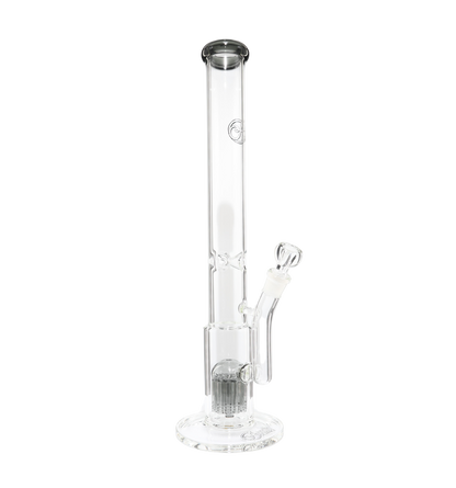 King Perc Transparent Black