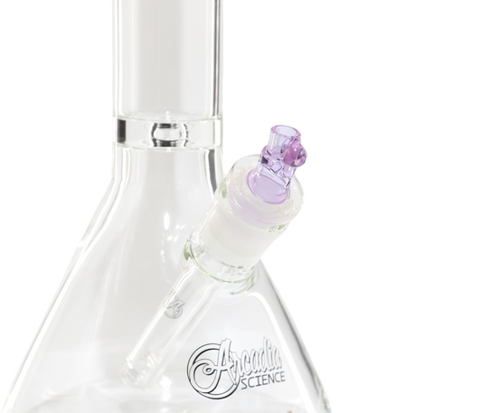 J Holder Purple